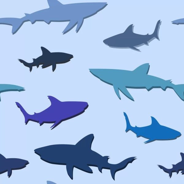 Papel de Parede Sharks - 0,58 x 3,00 metros - 1