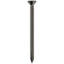 Ver imagem 2 de Parafuso Inox Auto Atarraxante Chata Phillips Stein 4,8x60 Caixa com 100 Peças