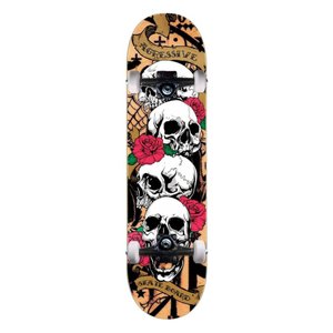 Skate Iniciante Agressive Four Skull