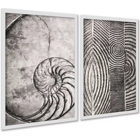 Kit 2 Quadros Decorativos Fibonacci Conchas Cinzas 45x34cm:moldura Branca