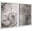 Ver imagem 1 de Kit 2 Quadros Decorativos Fibonacci Conchas Cinzas 45x34cm:moldura Branca