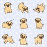 Papel de Parede Pug Boy - 0,58 x 2,50 metros - 1