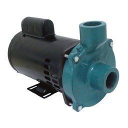 Motobomba Centrífuga Monoestágio Ecs-300 Eletroplas - 1