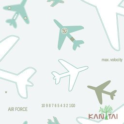 Papel de Parede Avião - 1