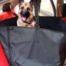 Capa Pet Dobrável Para Bancos De Carros E Cinto Segurança - 2