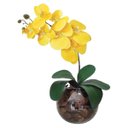 Ver imagem 1 de Arranjo 1 Orquídea Real Amarelo Delicada Vaso Vidro Terrário