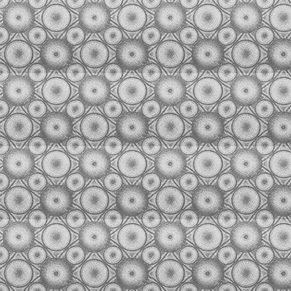 Adesivo Jateado para vidros Micro Esferas 1,22m - 1,22 x 6,00m + Espátula Grátis - 3