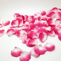 Kit de Pétalas Artificiais Pink com Branca - 1000 Pétalas - 1