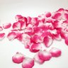 Kit de Pétalas Artificiais Pink com Branca - 1000 Pétalas - 1