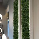 Ver imagem 1 de 23 Placas Buxinho Artificial 25x25 Cm P/ Destacar Paredes de Ambientes Internos e Externos