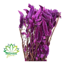 Buquê Celosia Rabo de Gato Roxo Desidratado Arranjo Floral Adicionar Aos Favoritos - 2