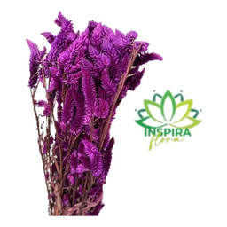 Buquê Celosia Rabo de Gato Roxo Desidratado Arranjo Floral Adicionar Aos Favoritos - 3