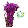 Buquê Celosia Rabo de Gato Roxo Desidratado Arranjo Floral Adicionar Aos Favoritos - 3