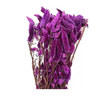 Buquê Celosia Rabo de Gato Roxo Desidratado Arranjo Floral Adicionar Aos Favoritos - 1