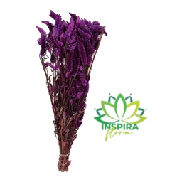 Buquê Celosia Rabo de Gato Roxo Desidratado Arranjo Floral Adicionar Aos Favoritos - 4