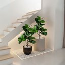 Ver imagem 6 de Kit 4 Arbustos Ficus Artificiais Folhagem Silicone Decoração de Interiores Toque Natural Realista