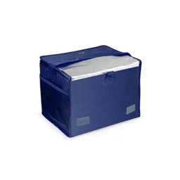Bolsa Térmica 10 Litros - 3609 - MOR - 2