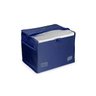 Bolsa Térmica 10 Litros - 3609 - MOR - 2