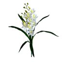 Ver imagem 1 de Kit 7 Orquídeas Dançantes Branco Artificial Premium 60cm Flores Realistas Decoração Luxo