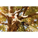 Ver imagem 7 de Cabo Extensível de Alumínio P/ Serrote/Podador/Colhedor Até 3m Tramontina CABO EXTENSIVEL