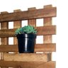 Mini Jardim Vertical Suculenta Artesanato Madeira 30cm - 2