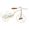 Bicicleta de Jardim Uai Artesanatos Decorativo Rustico Artesanal Colorida - 4