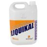 Cal Liquido Liquikal 5lt Substitui o Cal Hidráulico no Cimento - 1
