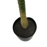 Árvore Decorativa Permanente Dracena Verde com Vaso Preto 75 Cm Mp3 Imports 8871 - 3