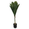 Árvore Decorativa Permanente Dracena Verde com Vaso Preto 75 Cm Mp3 Imports 8871 - 1
