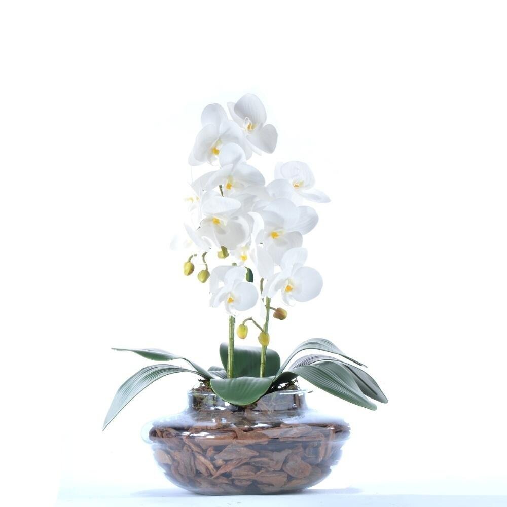 Arranjo de Orquídea Artificial Branca em Terrário Pequeno Vivian