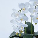 Ver imagem 2 de Arranjo de Orquídea Artificial Branca em Terrário Pequeno Vivian