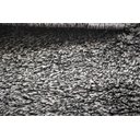 Ver imagem 6 de Tapete Redondo 1,20m Quarto Sala Escritório Pelo Macio.:duo