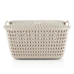 Cesto Organizador com Tampa (m) - 12l Bege - 1