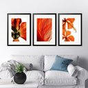 Ver imagem 1 de Kit 3 Quadros Grandes Orange - 60x48cm:moldura Preta