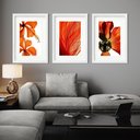 Ver imagem 2 de Kit 3 Quadros Grandes Orange - 60x48cm:moldura Preta