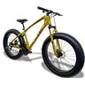 Bicicleta Fat Bike Gtr-x Aro 26 X 4.0 Freios Disco Shimano - Dourado - 17 " - 2