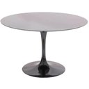 Ver imagem 1 de Mesa de Jantar Tulipa Saarinen 70 Cm Preto