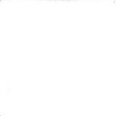 Ver imagem 2 de Carpete Vermelho para Eventos, Feiras, Shows, Casamentos, Formaturas, Festivais 2,00 X 10,00m (20m²)