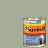 Tinta Esmalte Base Água Brilhante Suvinil Capim-de-cheiro 900ml - 1