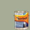 Ver imagem 1 de Tinta Esmalte Base Água Brilhante Suvinil Capim-de-cheiro 3,6lts
