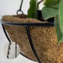 Ver imagem 5 de Vaso Fibra de Coco Suspenso 40cm com Suporte para Jardim