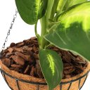 Ver imagem 4 de Vaso Fibra de Coco Suspenso 40cm com Suporte para Jardim
