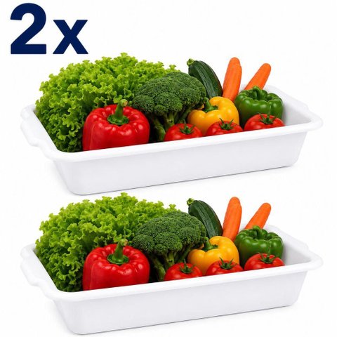 Kit 2 Bandeja Frigorifica Carnes Frios Branca Box Organizador 5,8L Retangular com Alca Bacia Exposit