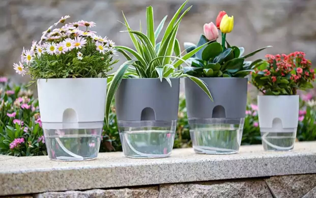 Vaso Auto Irrigável Brsnco Medio Para Decoração De Jardim/De Plantas Hidropônico/Suculentas - 2