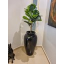 Ver imagem 3 de Ficus Lyrata Planta Arvore Artificial Toque Real Super Realista
