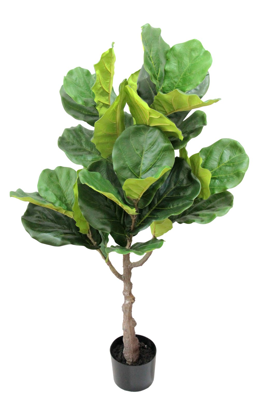 Ficus Lyrata Planta Arvore Artificial Toque Real Super Realista - 2