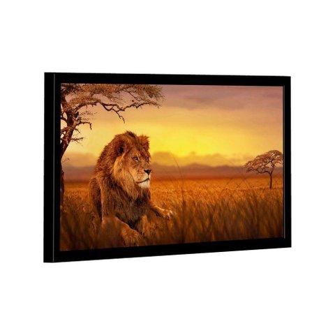 Quadro Leão Savana -- Br Artes