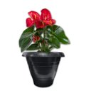 Ver imagem 3 de Kit 6 Vasos Plásticos Pote Grande 3,5L Mudas e Flores