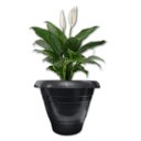 Ver imagem 4 de Kit 6 Vasos Plásticos Pote Grande 3,5L Mudas e Flores