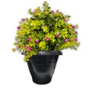 Ver imagem 2 de Kit 6 Vasos Plásticos Pote Grande 3,5L Mudas e Flores